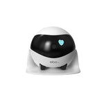 Smart Home Companion Robot Remote 2