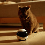 Smart Home Companion Robot Remote 4