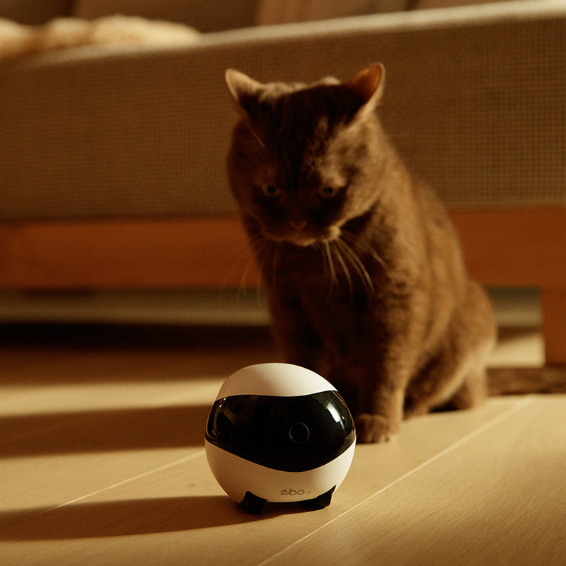 Smart Home Companion Robot Remote 4