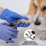 Pet Hair Removal Glove for Dogs & Cats – 4-in-1 Kit, Pet Grooming & Deshedding Glove, Electrostatic Pet Hair Remover Glove, Pet Hair Mitt Glove for Furniture, Couches & Clothing 8
